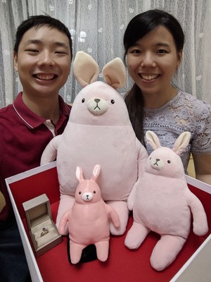 MINISO Creates Limited Release Plush Toy for Surprise Marriage Proposal PR Newswire APAC