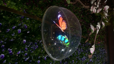 Unable to view the image, Please provide a valid URL.