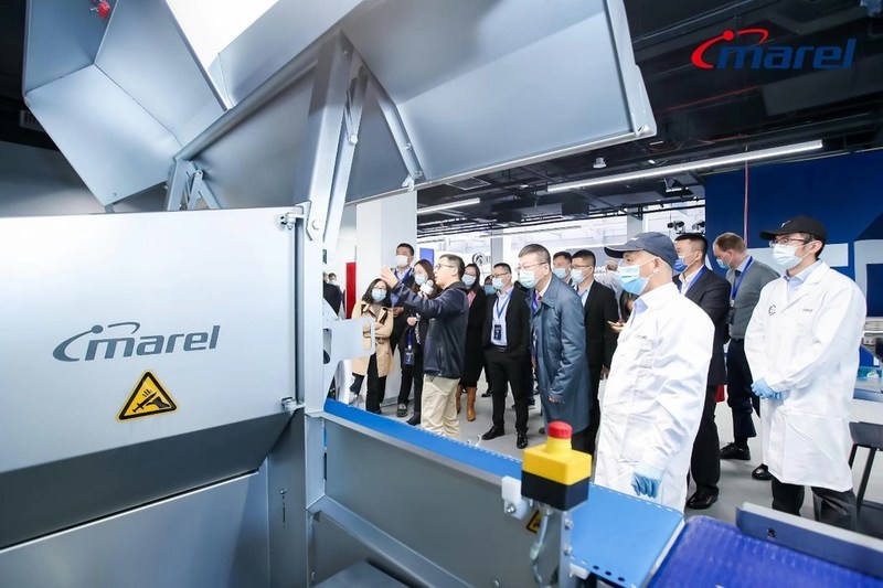 Unable to view the image, Please provide a valid URL.