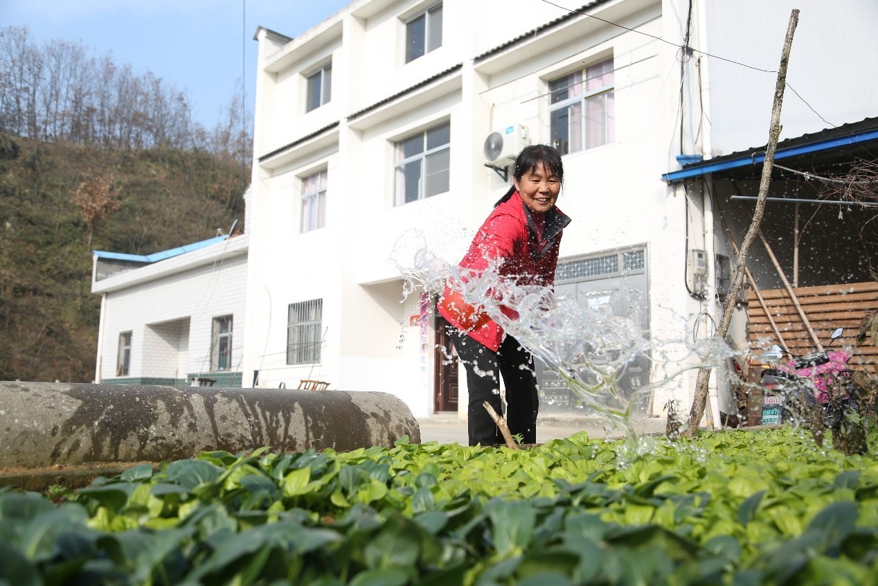 Unable to view the image, Please provide a valid URL.