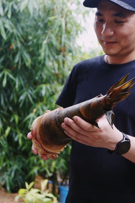 Unable to view the image, Please provide a valid URL.