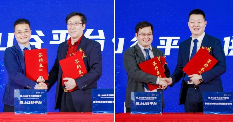 Unable to view the image, Please provide a valid URL.