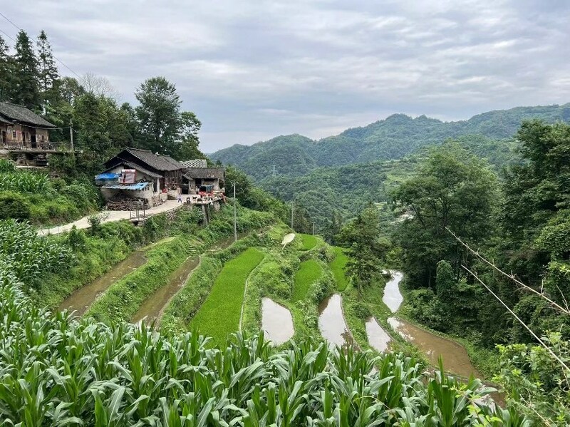 Unable to view the image, Please provide a valid URL.