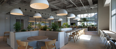 Unable to view the image, Please provide a valid URL.