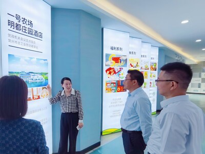 Unable to view the image, Please provide a valid URL.