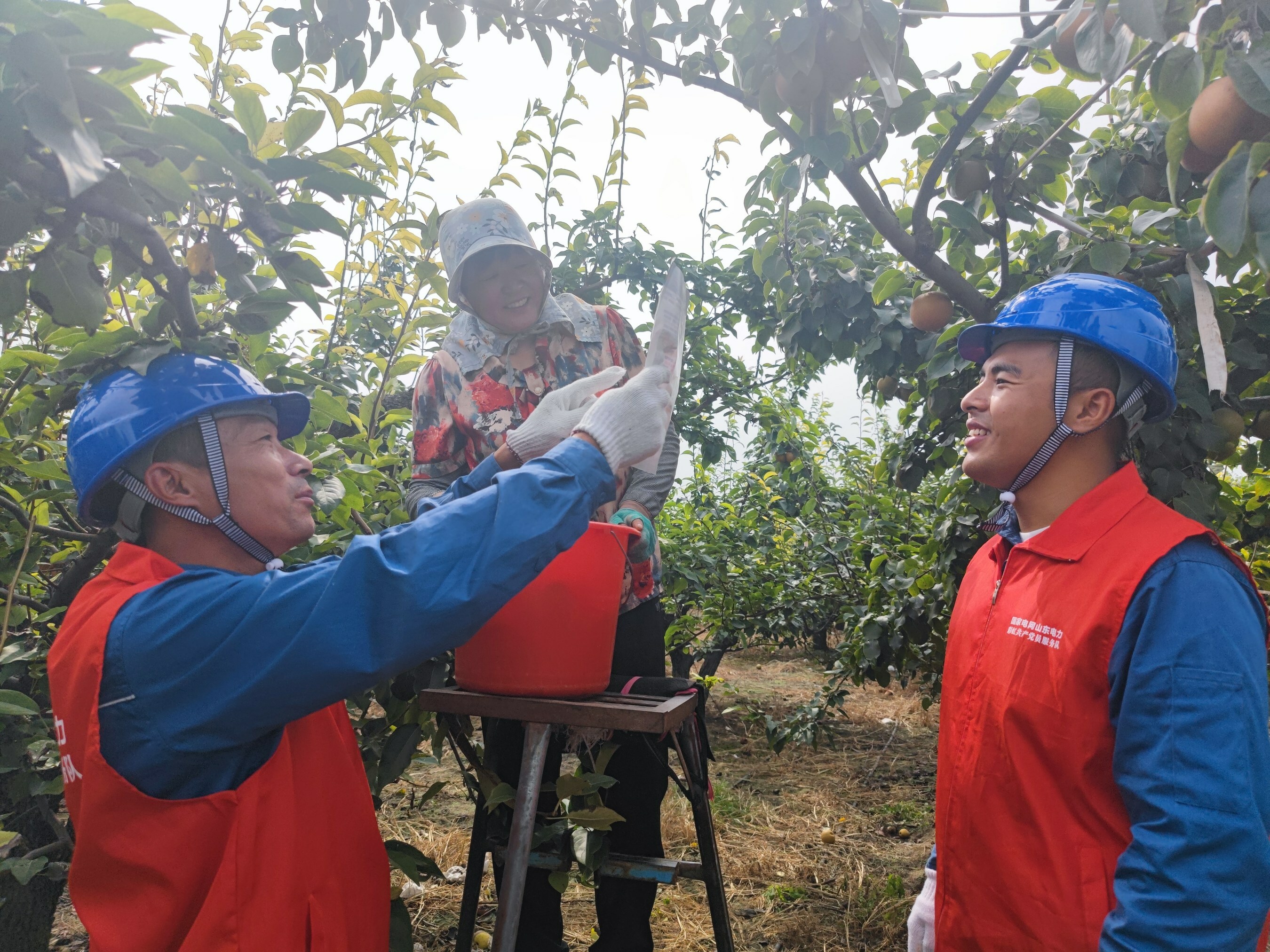 Unable to view the image, Please provide a valid URL.