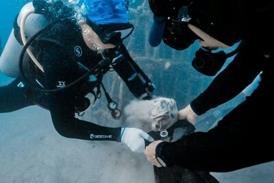 Unable to view the image, Please provide a valid URL.