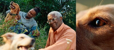 Unable to view the image, Please provide a valid URL.