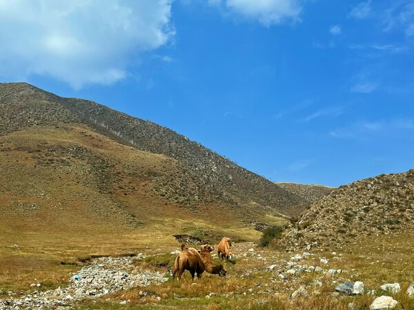 Unable to view the image, Please provide a valid URL.