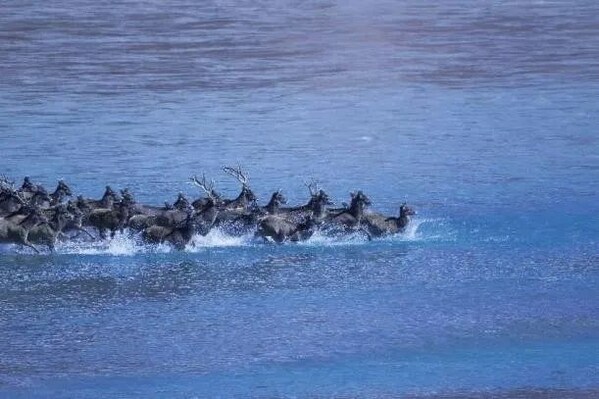 Unable to view the image, Please provide a valid URL.