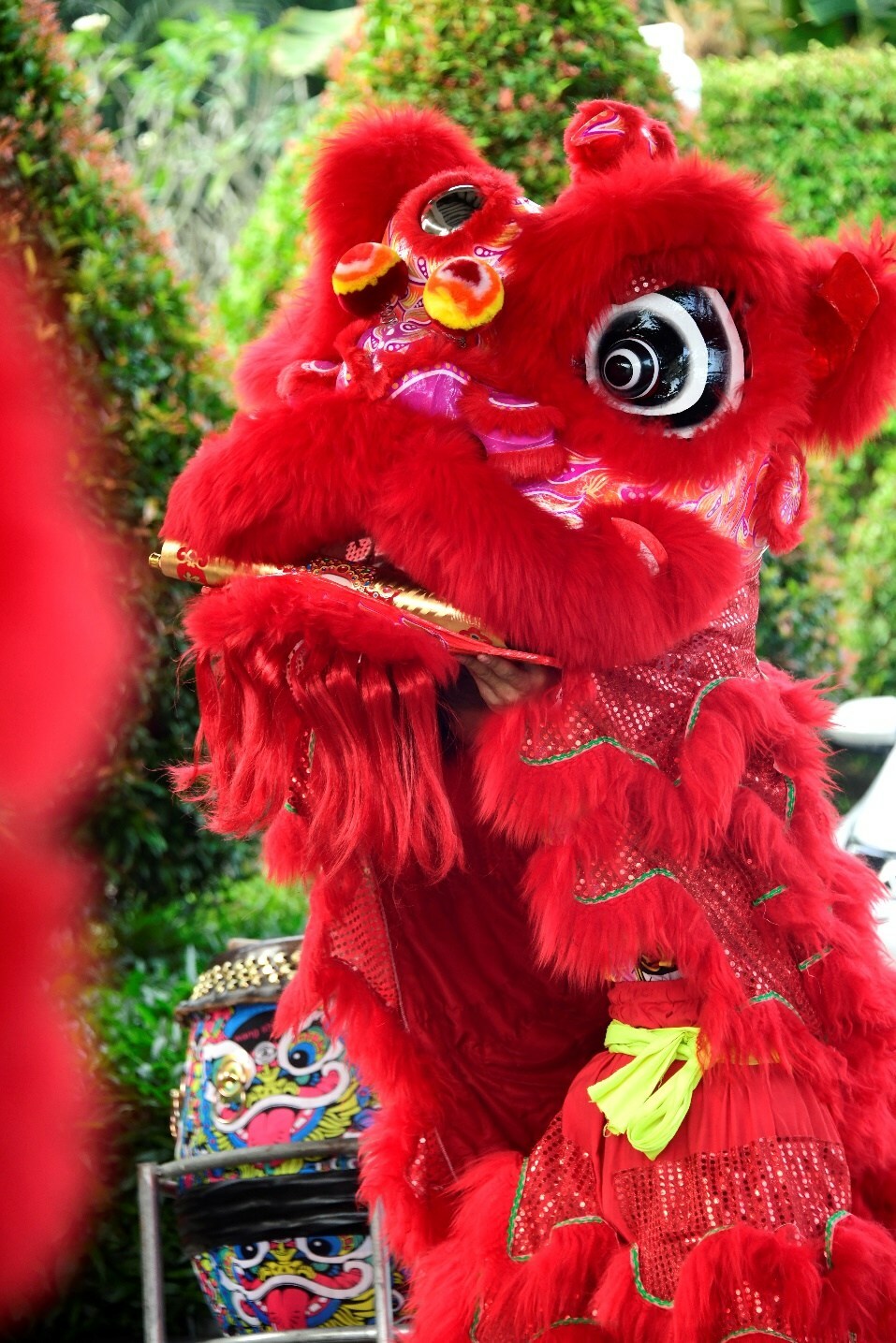 Unable to view the image, Please provide a valid URL.