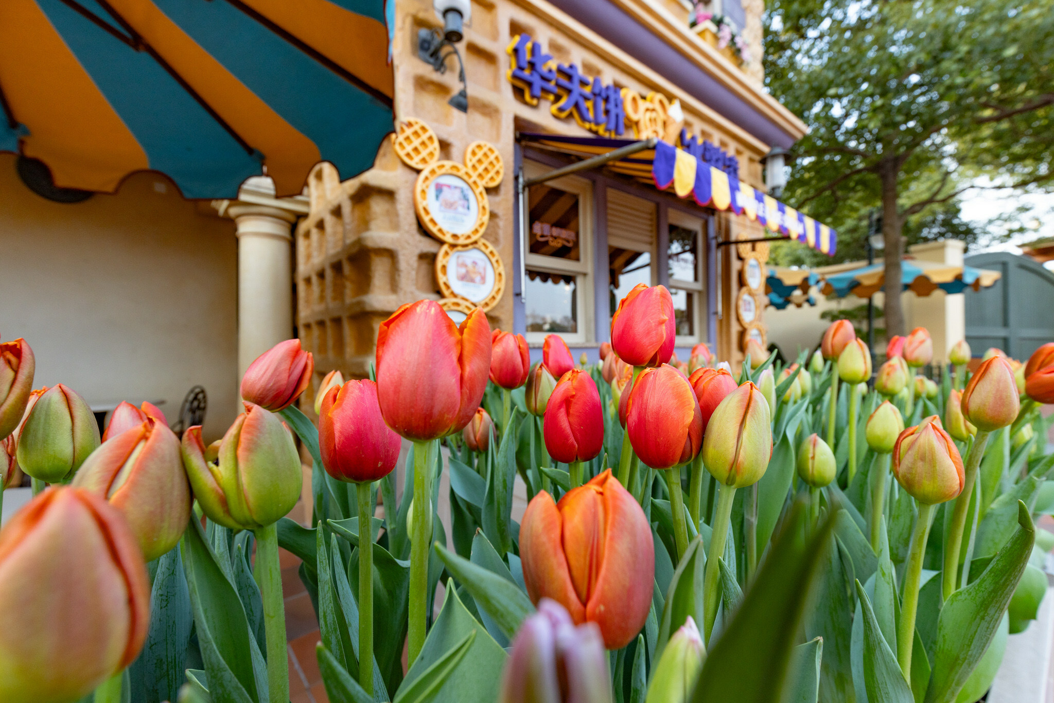 Unable to view the image, Please provide a valid URL.