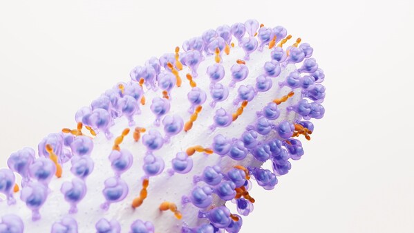 Unable to view the image, Please provide a valid URL.