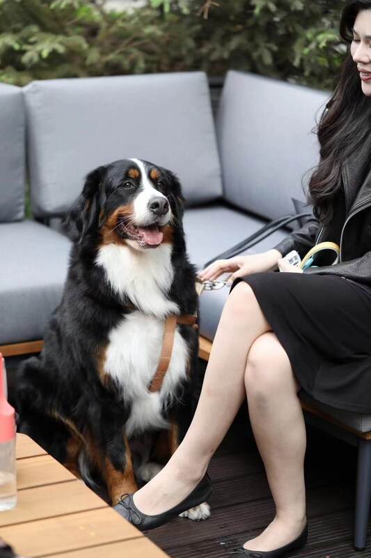 Unable to view the image, Please provide a valid URL.