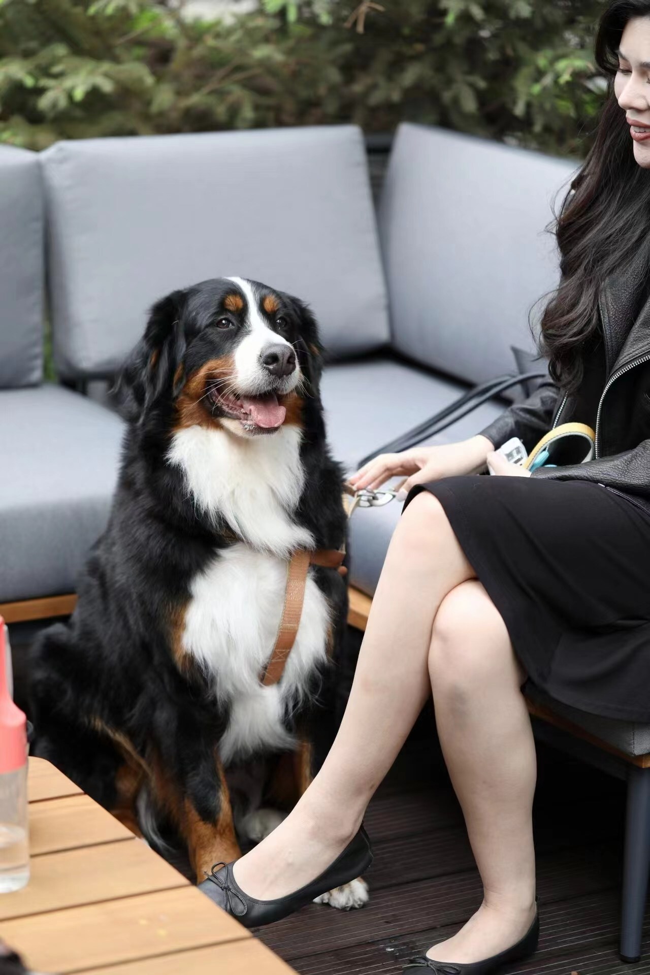 Unable to view the image, Please provide a valid URL.