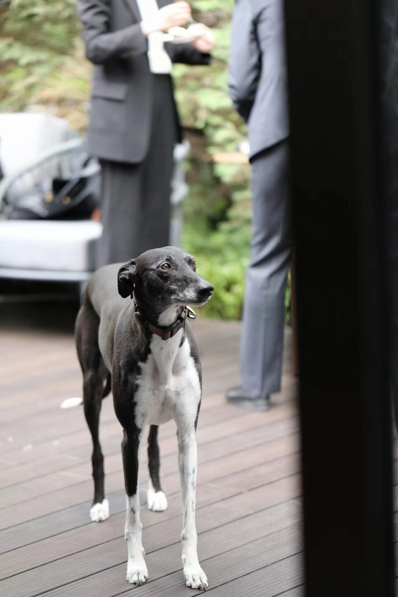 Unable to view the image, Please provide a valid URL.