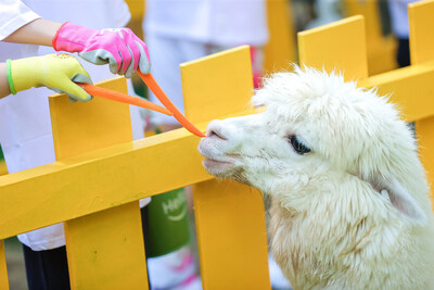 Unable to view the image, Please provide a valid URL.