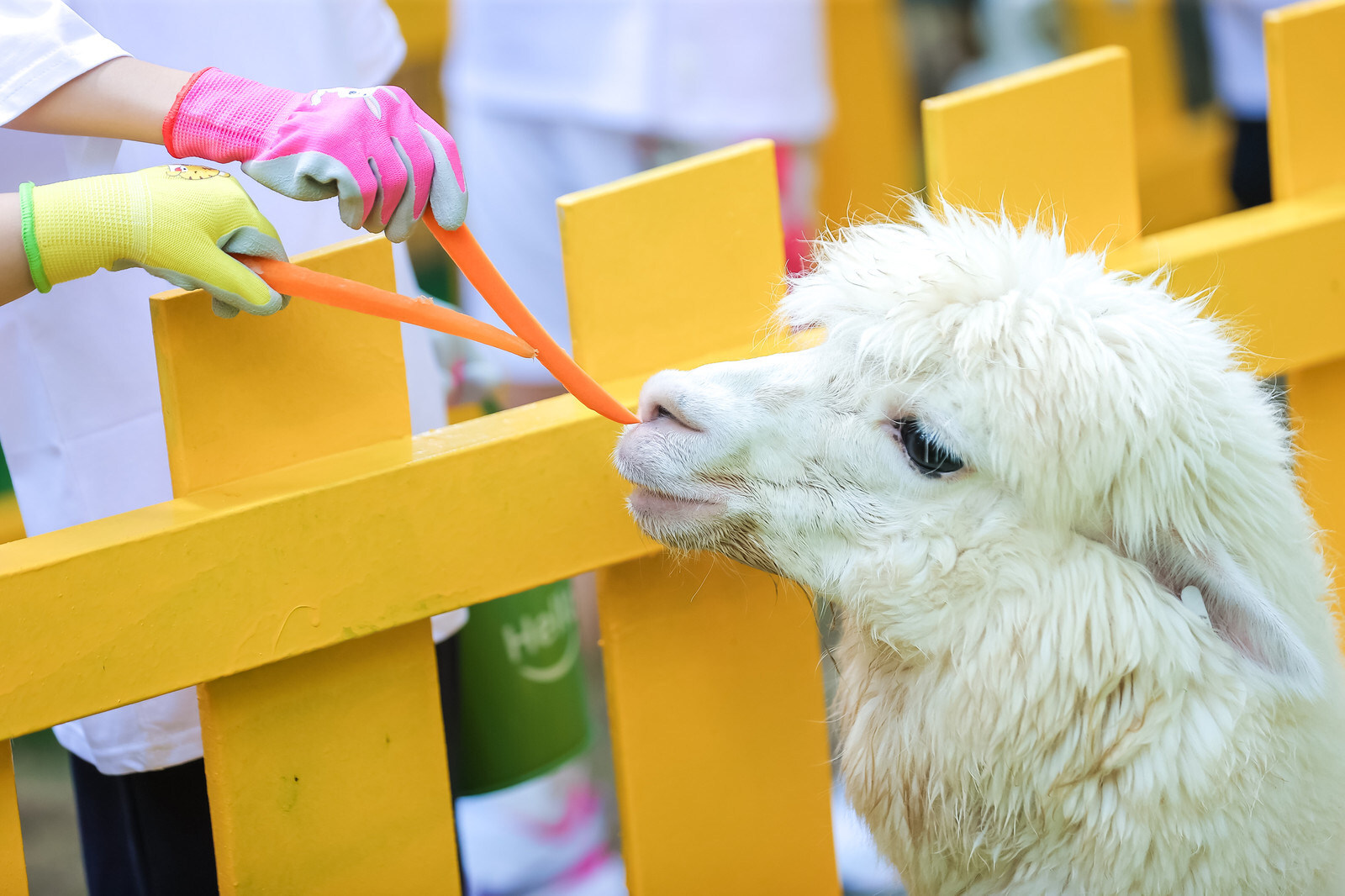 Unable to view the image, Please provide a valid URL.