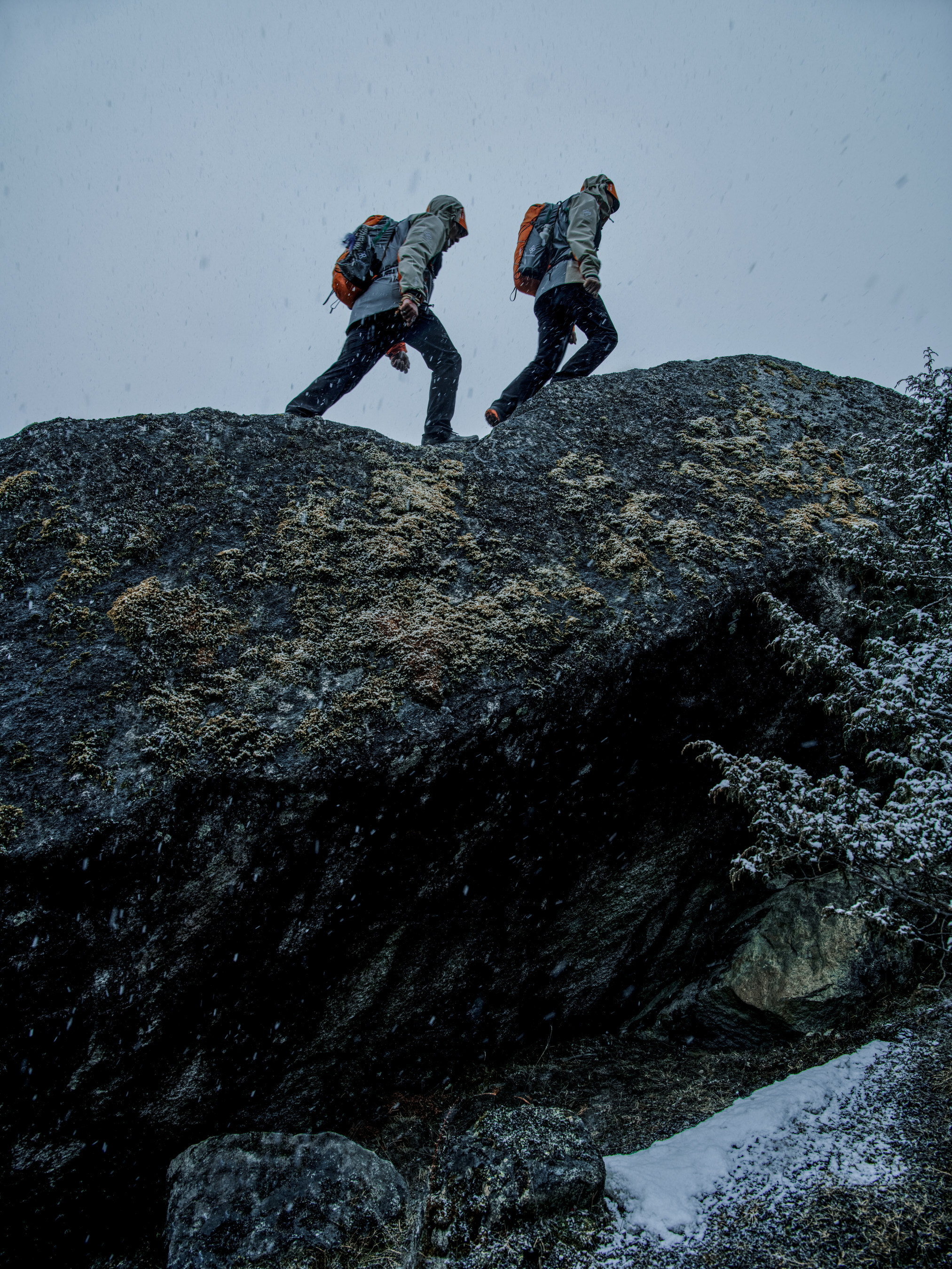 Unable to view the image, Please provide a valid URL.