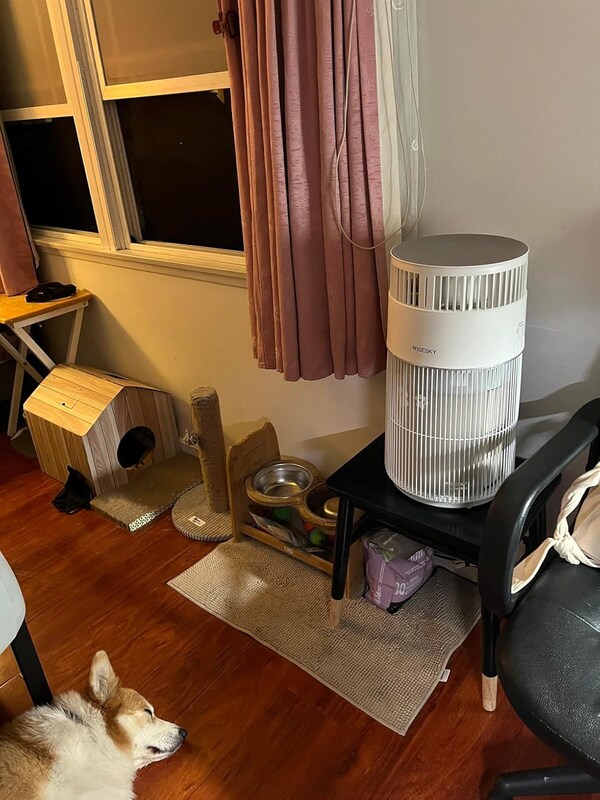 Unable to view the image, Please provide a valid URL.