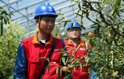 Unable to view the image, Please provide a valid URL.