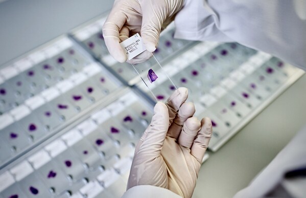 Unable to view the image, Please provide a valid URL.