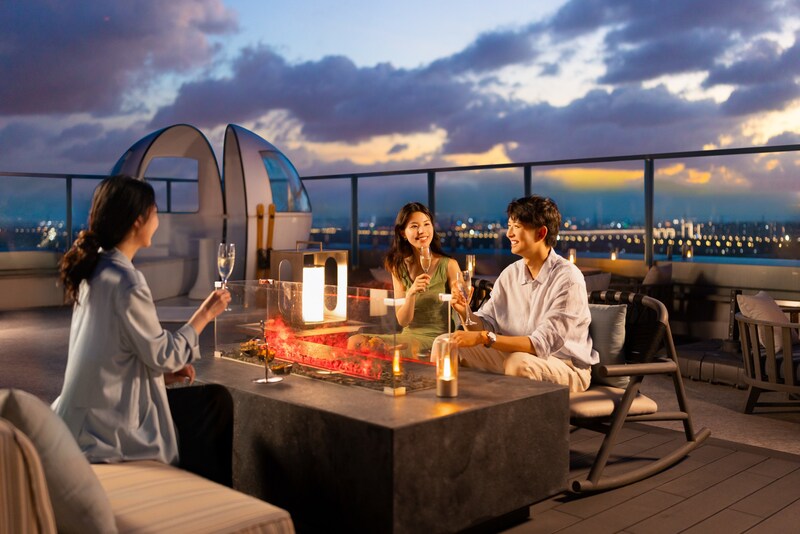 Unable to view the image, Please provide a valid URL.