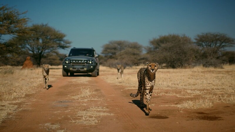 Unable to view the image, Please provide a valid URL.