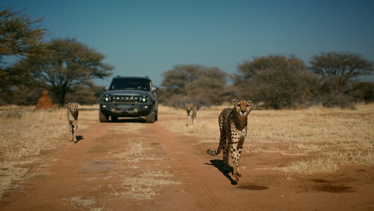 Unable to view the image, Please provide a valid URL.