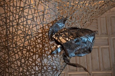 Unable to view the image, Please provide a valid URL.