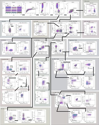 Unable to view the image, Please provide a valid URL.