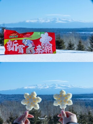 Unable to view the image, Please provide a valid URL.