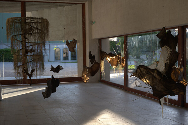 Unable to view the image, Please provide a valid URL.