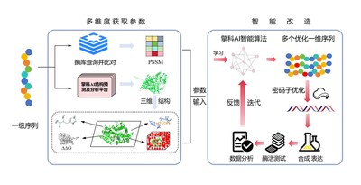 Unable to view the image, Please provide a valid URL.