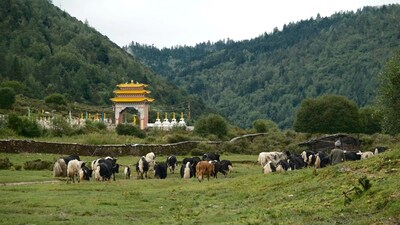 Unable to view the image, Please provide a valid URL.