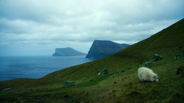 Unable to view the image, Please provide a valid URL.