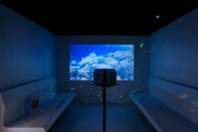 Unable to view the image, Please provide a valid URL.