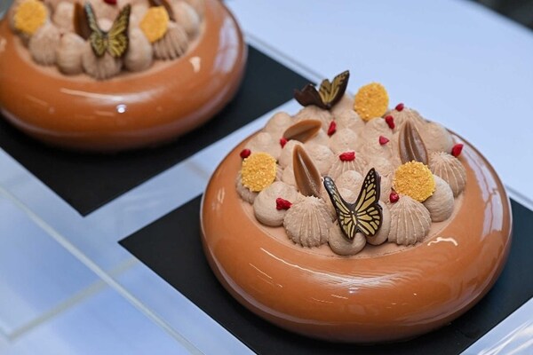 Unable to view the image, Please provide a valid URL.