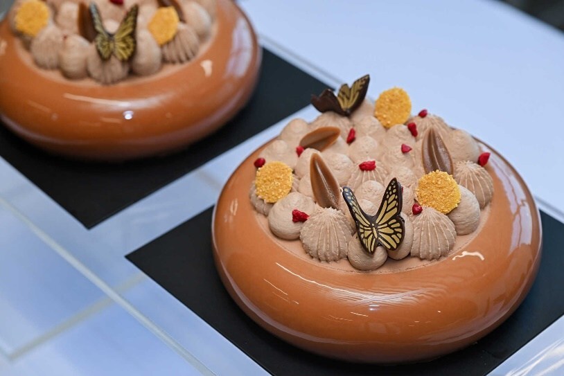 Unable to view the image, Please provide a valid URL.