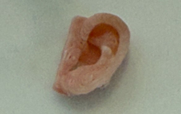 Unable to view the image, Please provide a valid URL.