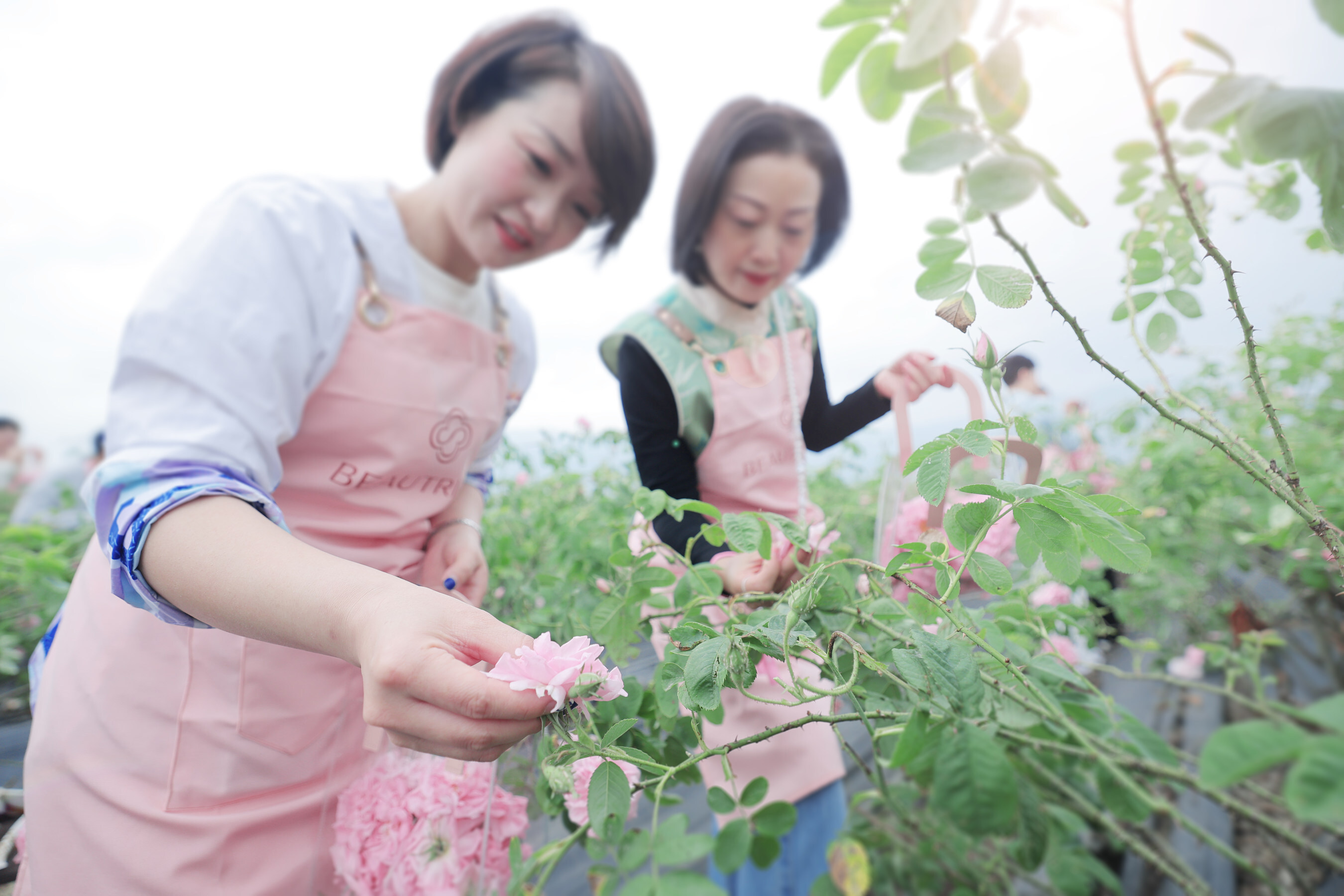 Unable to view the image, Please provide a valid URL.