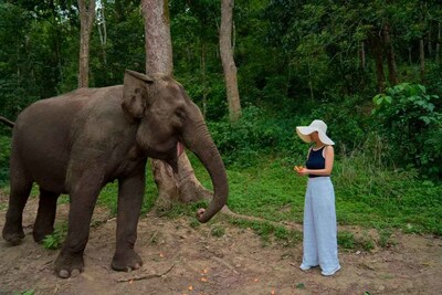 Unable to view the image, Please provide a valid URL.