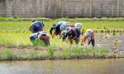 Unable to view the image, Please provide a valid URL.