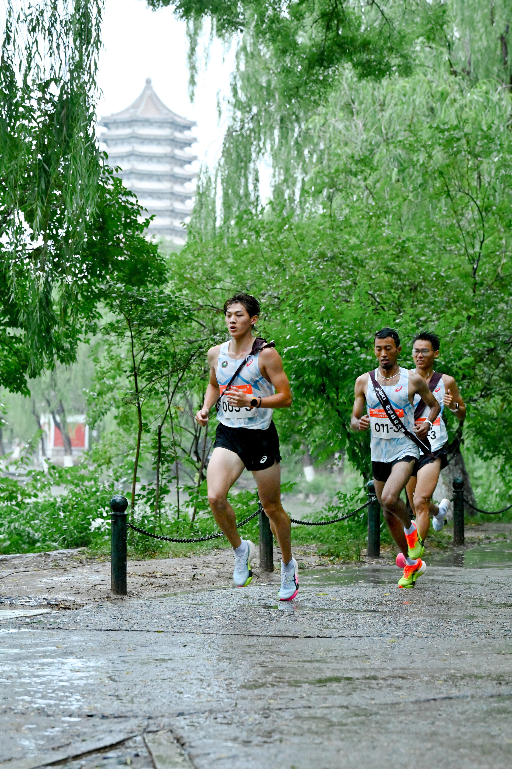 Unable to view the image, Please provide a valid URL.