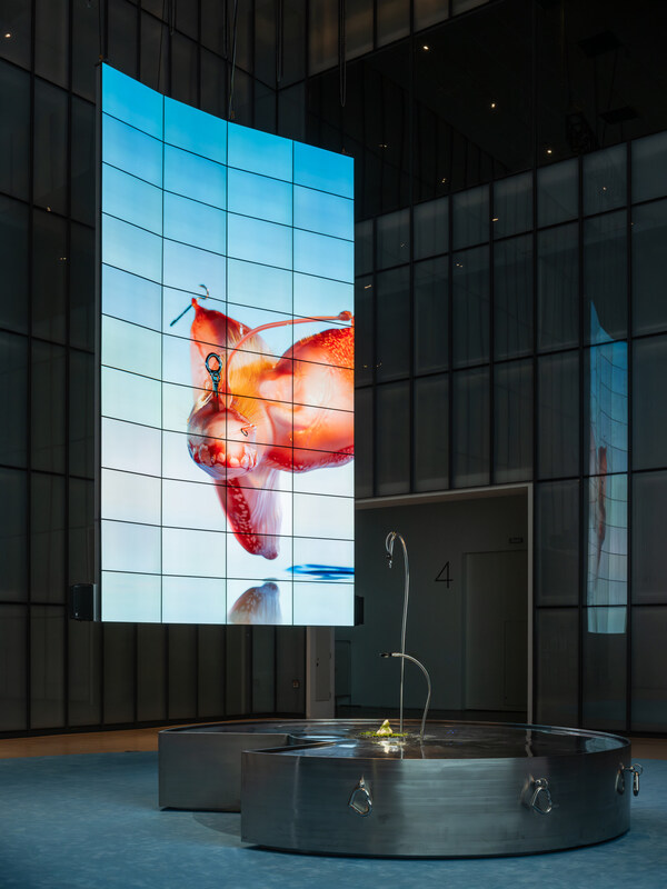 Unable to view the image, Please provide a valid URL.