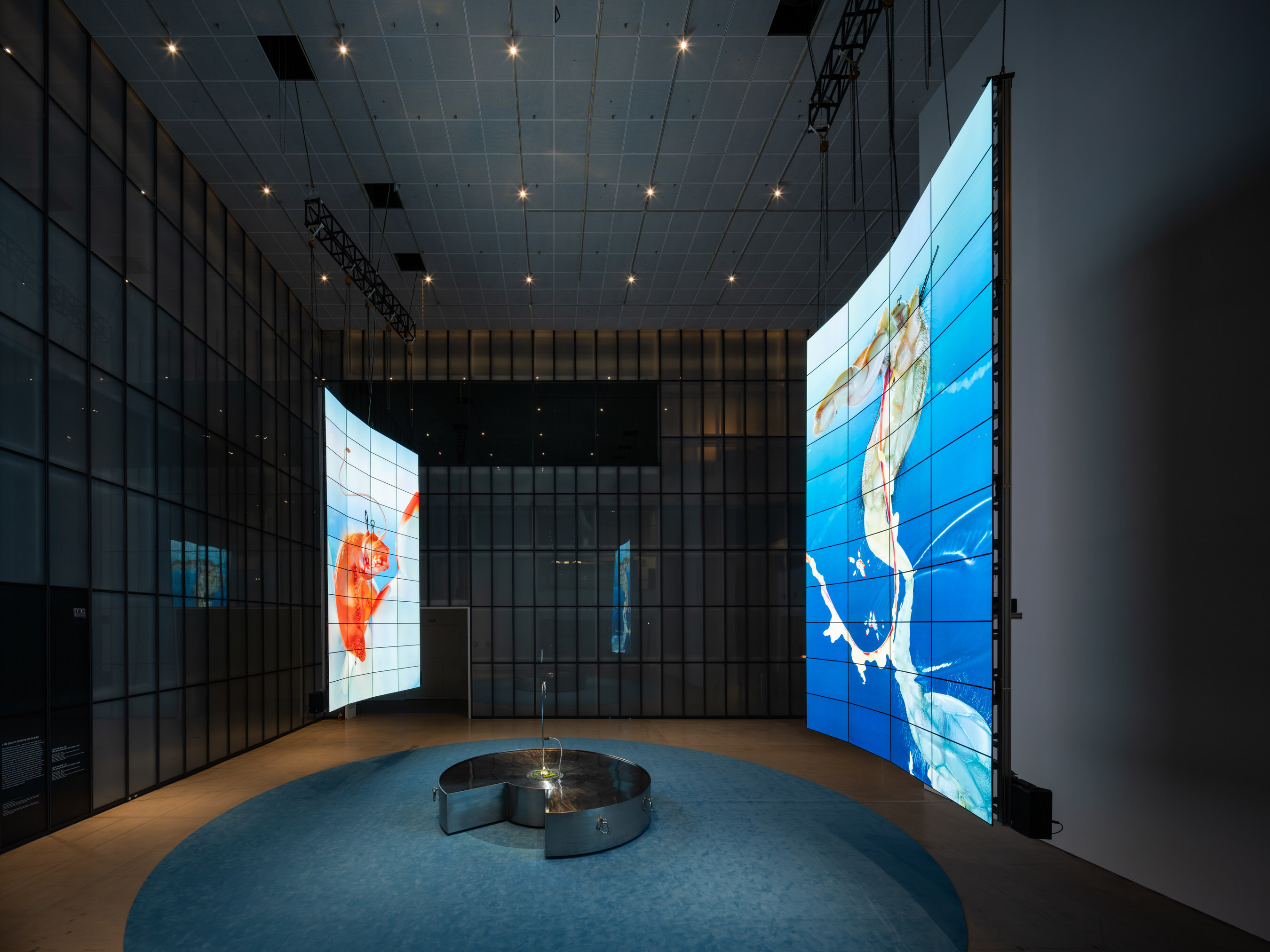 Unable to view the image, Please provide a valid URL.