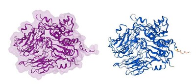 Unable to view the image, Please provide a valid URL.