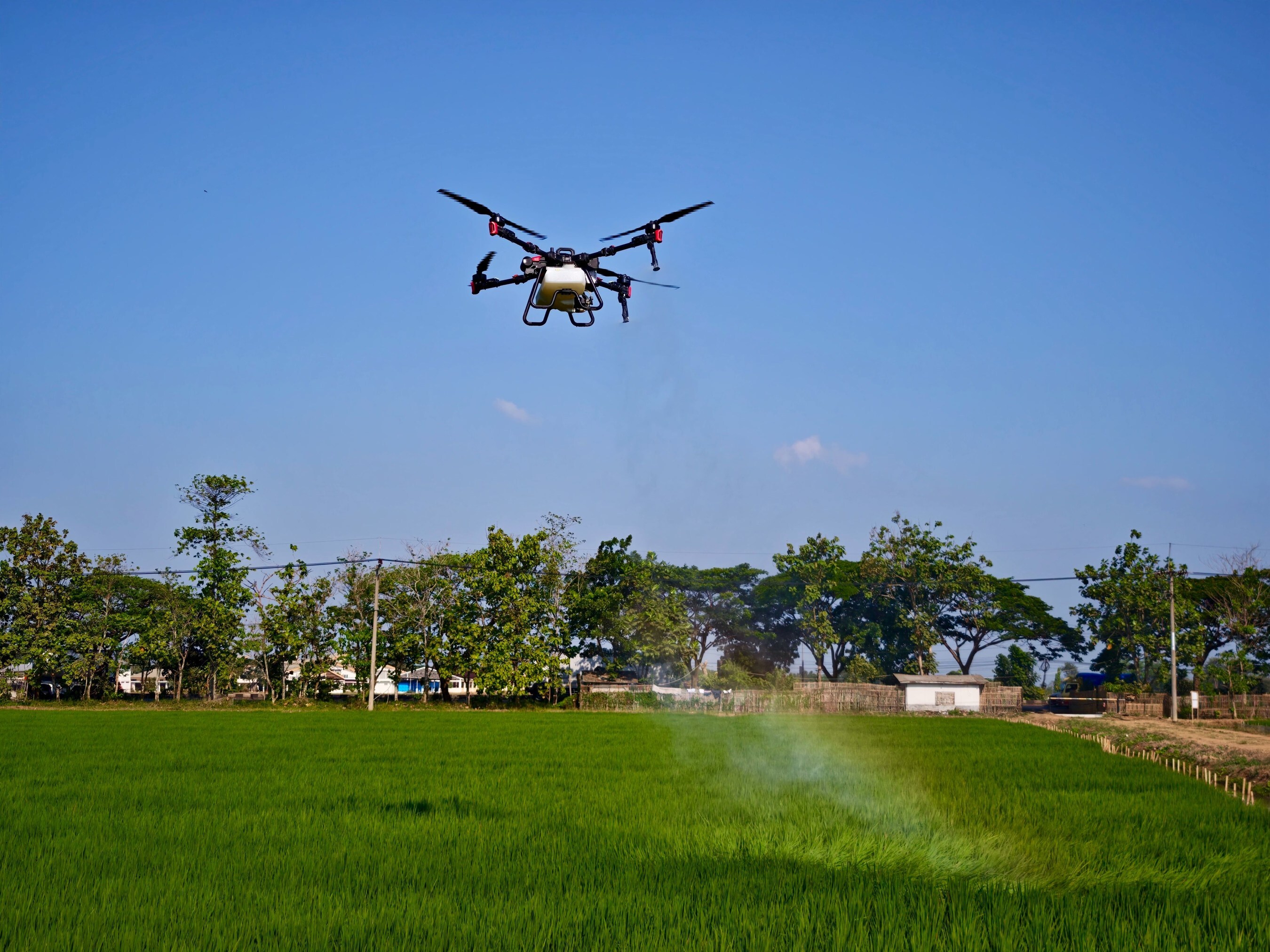 Unable to view the image, Please provide a valid URL.