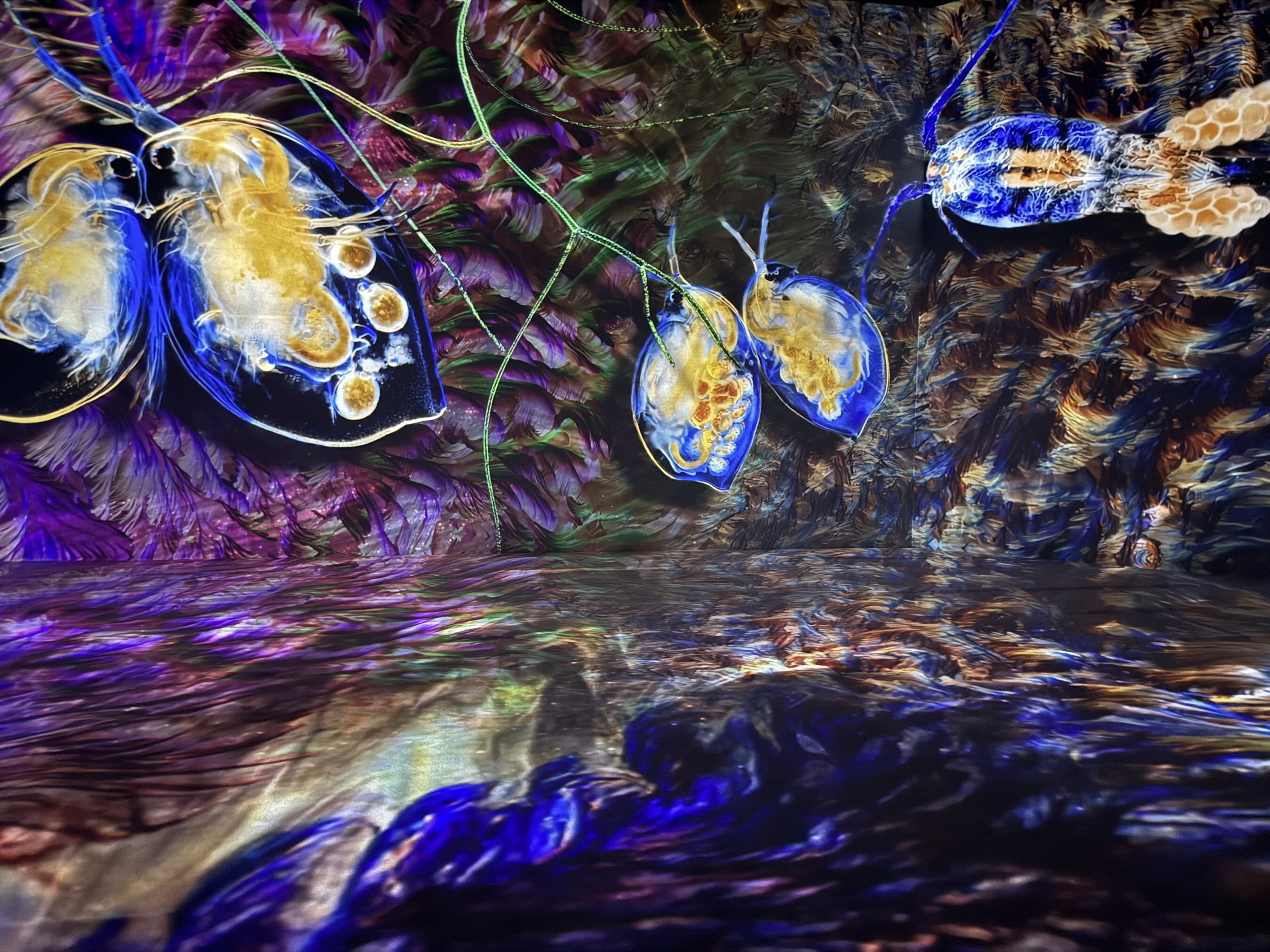 Unable to view the image, Please provide a valid URL.