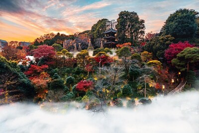 Unable to view the image, Please provide a valid URL.